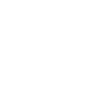 Logo Fedesoft (blanco)