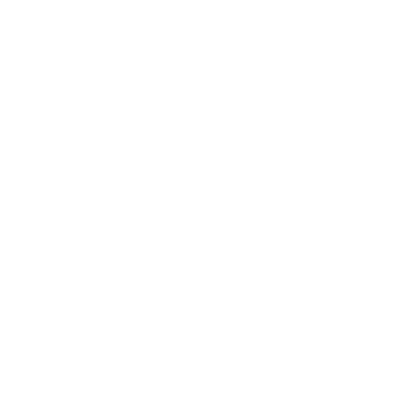Logo ICDT (blanco)